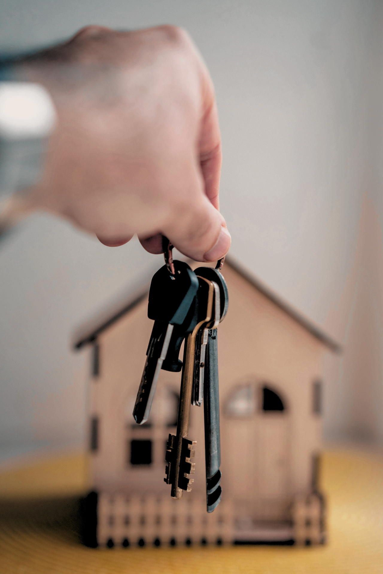 chj-bienesraices-negocios-inmobiliarios (2)